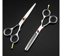 Profesional Japón 6cr 5,5 pulgadas tijeras de adelgazamiento corte Barbero corte tijeras de pelo set de peluquería de tijeras 2020-7,Plata,6 inch