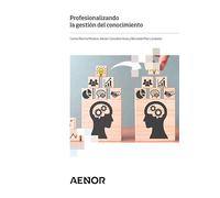 Profesionalizando la gestión del conocimiento