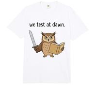 Profesor Búho Que Probamos Al Amanecer Examen Final Coordinador del Día de Prueba Comfort Colors Adult Heavyweight T-Shirt