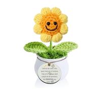 Profesora Regalos Maestra Corazón Crochet Clavel Girasol Maceta Positivos Día del Maestro para Mujeres Hombres Estudiantes Graduación Gracias Navidad Profe Jubilado Apreciar Tutor Adornos (Profesor)