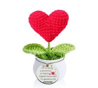 Profesora Regalos Maestra Corazón Crochet Clavel Girasol Maceta Positivos Día del Maestro para Mujeres Hombres Estudiantes Graduación Gracias Navidad Profe Jubilado Apreciar Tutor Adornos (Corazón)