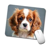 Professional Alfombrilla de Ratón Cavalier King Charles Spaniel Perro Cachorro Foto Alfombrilla de ratón para Juegos Mousepad 25x30cm para PC,Laptop,Oficina