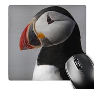 Professional Alfombrilla De Ratón para Juegos Aves Frailecillo Atlántico Machias Sea Dog Isl Me Keith Y Snell 25X30Cm, Alfombrilla De Ratón Eco-Friendly Gaming Mouse Pad para Jugadore Pc