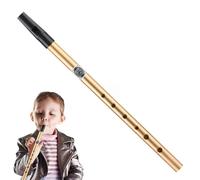 Professional Tin Flute, Beginner Tin Flute Whistle, Hand Percussion Tin Whistle, Tin Whistle Clear Sound, Six-Hole Flute Tube, Tin Whistle Musical Instrument, Penny Whistle For Beginners