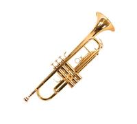 Professional Trumpet Trompeta profesional en si bemol | Tono rico y claro, apariencia elegante y duradera.(Gold Plated)
