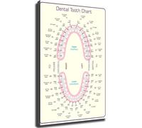Professional Wall-Art Canvas Prints Tooth Numbering System Reference Chart for Office Clinic Decor(Unframed,16x24inch(40x60cm))
