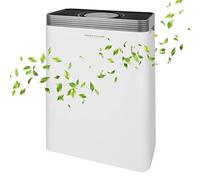 ProfiCare 330760 PC-LR 3076 - Purificador de aire con ionización, color blanco