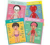 Profit Carteles educativos Cuerpo Humano - Posters Infantil Preescolar para niños en español, inglés. Partes del Cuerpo, Huesos, órganos y músculos. Descubre cómo Funciona Nuestro Cuerpo.