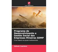 Programa de Desenvolvimento e Gestão Social das Empresas Mineiras SDMP: O seu impacto nos grupos multissectoriais