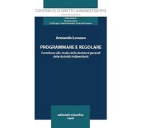Programmare e regolare. Contributo allo studio delle decisioni generali delle autorità indipendenti