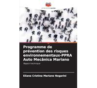 Programme de prévention des risques environnementaux-PPRA Auto Mecânica Mariano: Rapport technique