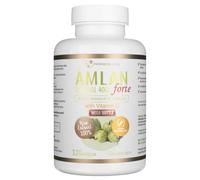 Progress Labs Amlan Forte (Grosella espinosa de la India) 4000 mg - 120 Cápsulas