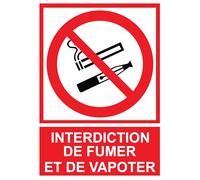Prohibición de fumar y vapear - Paneles y pegatinas profesionales - Señalización conforme - Varios tamaños y lotes disponibles (2 A4 prohibición de fumar)