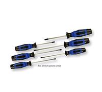 Projahn 4622 - Juego de destornilladores