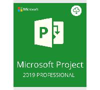MICROSOFT PROJECT PROFESSIONAL 2019 (WINDOWS)