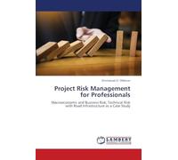 Project Risk Management for Professionals