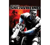 Project: Snowblind PC