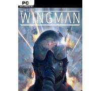 Project Wingman PC