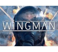 Project Wingman (PC) Steam Key - ASIA
