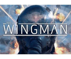 Project Wingman (PC) Steam Key - GLOBAL