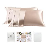 PROMEED Juego de 2 Fundas de Almohada de Seda de 23 Momme con Cremallera, 3ª generación Grado 6A+ 100% Seda de Morera, Juego de 2 Fundas de Almohada refrescantes para Personas Que Duermen con Calor