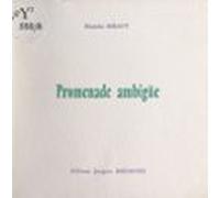 Promenade Ambigüe (ebook)