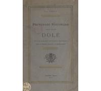 Promenade Historique Dans La Ville De Dole (ebook)