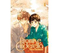 Promise cinderella (Vol. 14)