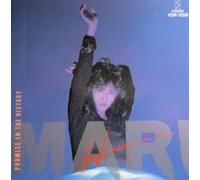 PROMISE IN THE HISTORY