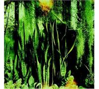 Promise Ring, The - Wood/Water