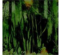 Promise Ring Woodwater (CD) (Importación USA)