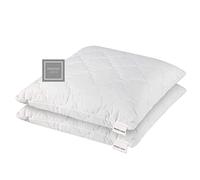 Promo Linge - Juego de 2 almohadas, cojines de memoria de forma, especial Cervical, Jean Louis Scherrer. (60 x 60 cm)
