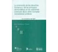 promocion de los derechos humanos y de los principios democratico s en