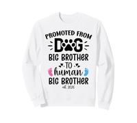 Promoted from Dog Big Brother Human Brother EST 2026 Big Bro Sudadera
