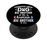 Promoted from Dog Big Brother to Human Brother EST. 2026 Bro PopSockets PopGrip Adhesivo