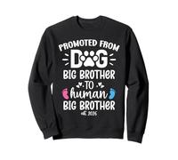 Promoted from Dog Big Brother to Human Brother EST. 2026 Bro Sudadera