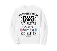 Promoted from Dog Big Sister Human Sister EST 2026 Big Sis Sudadera