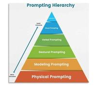 Prompt Fading Hierarchy Poster Special Ed Resource