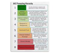 Prompt Levels Poster Prompting Hierarchy Education