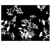 Pronappe 500 Manteles Individuales 30x40cm Floral Blanco y Negro