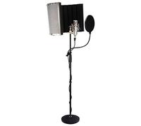 Pronomic CM-100S Micrófono de Estudio XLR Condensador Gran Diafragma con Popkiller, Micscreen, suspensión, Estuche, Protector Viento, Adaptador y Filtro antipop, Color Plateado.
