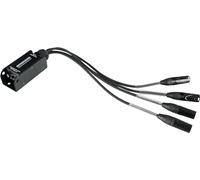 Pronomic NetCore SP-3M Multicore-Spliss male - Peitsche con 4 conectores XLR (male) a toma RJ45 - para la transmisión de señales analógicas o digitales a través de cable de red