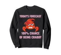 Pronóstico de hoy 100% probabilidad de ser malhumorado divertido cangrejo humor Sudadera