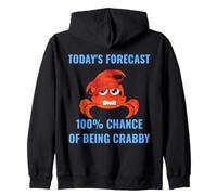 Pronóstico de hoy 100% probabilidad de ser malhumorado divertido cangrejo humor Sudadera con Capucha