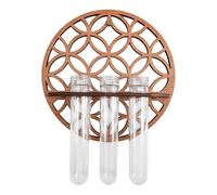 Propagación montada en la pared: juego de contenedores de crecimiento hidrológico transparente, escaparate artístico vertical de la naturaleza, estructura de visualización de raíces suspendida, caract