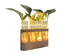 Propagador de Plantas | Terrario Hidropónico Decorativo con Luces LED | Tubos de Ensayo de Vidrio para Plantas Hidropónicas | Regalo para Todas Las Personas y para Hogar Dormitorio