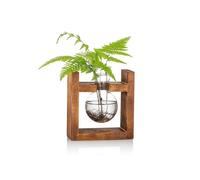 Propagation Station 1 Pc Bulb Vase Glass Sweet Pea Vase for Flowers Terrarium Jar Planter with Wooden Rack Stand Holders for Green Water Plants Fit fo