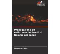 Propagazione ed estinzione dei fronti di fiamma nei canali