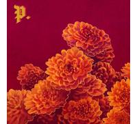 Proper I Spent the Winter Writing Songs About Getting (Vinyl) (Importación USA)