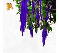 Proper. - The Great American Novel [CASSETTE] [Casete]